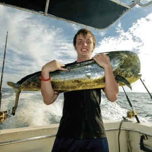 Scheels Fishing Gears