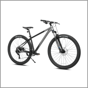 Kent Bicycles 29" Men's Trouvaille Mountain Bike Medium, Black and Taupe