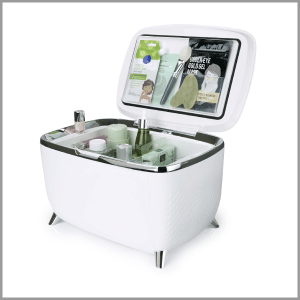 Personal Chiller 6L Cosmetics Skin Care Vanity Mini Refrigerator, White