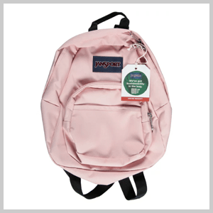 JanSport Half Pint, Misty Rose, One Size