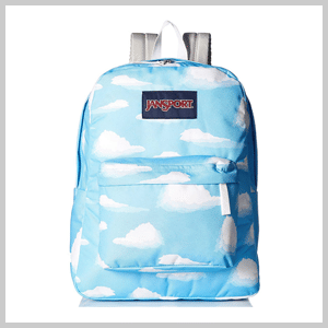 JanSport Superbreak Backpack
