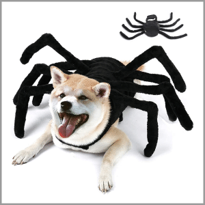 Walmart Pet Costumes Deals