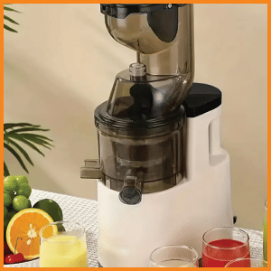 1pc Quiet Masticating Juicer for Fruit, Vegetables, and More