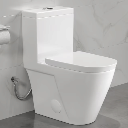 Eridanus Turner Crisp White Dual Flush Elongated Chair Height WaterSense Soft Close Toilet 12-in Rough-In 1.1-GPF