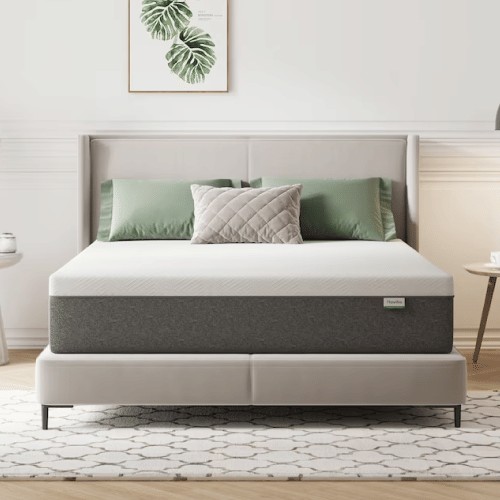 Novilla 12-in Queen Memory Foam Mattress in a Box