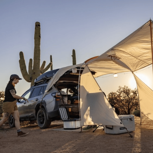 Easter Family Camping Trip from REI Co-op