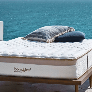 Saatva Loom & Leaf Mattress