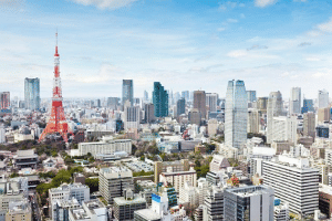 Tokyo 6hr Private Tour with Government-Licensed Guide