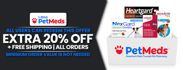 Extra 20% Off + Free Shipping | All Orders