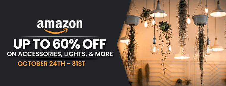 national handbolsa day 2022 sales