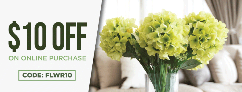 Flat $10 Off On Online Purchases
