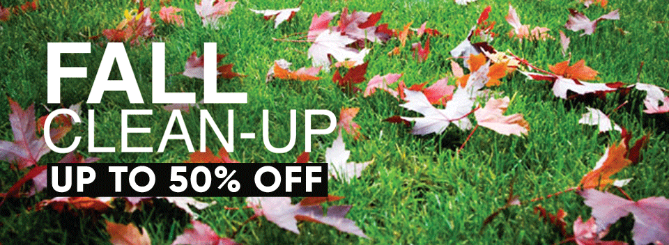 Lowe’s Fall Cleanup: Up To 50% Off
