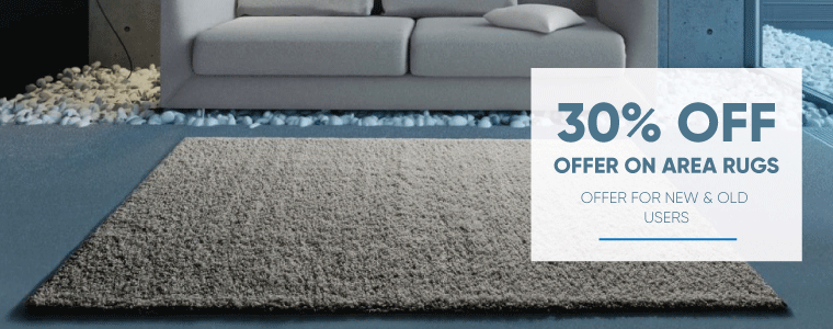 Buy Area Rugs @ 30% Off