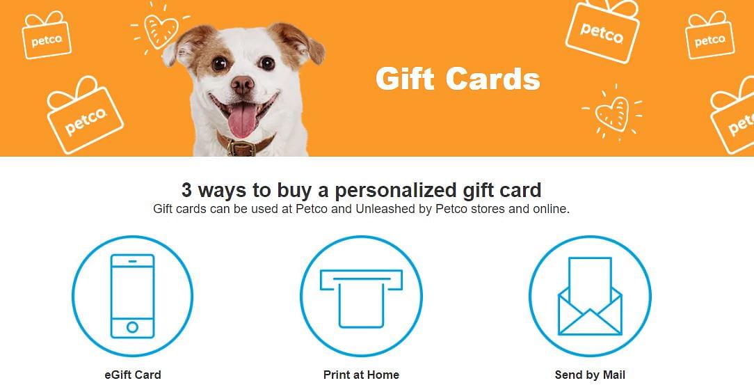 Petco Promo Code July 2024 Shel Gabriela