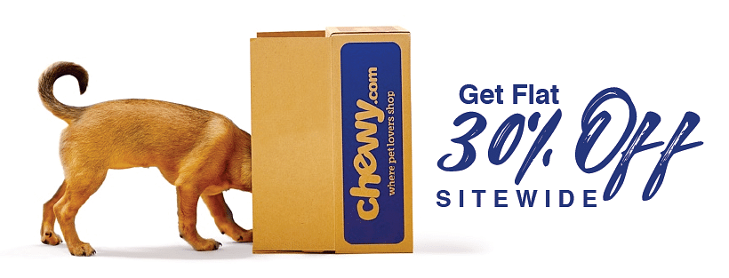 Chewy Promo Codes, Coupons October 2020: Save Up To 30%