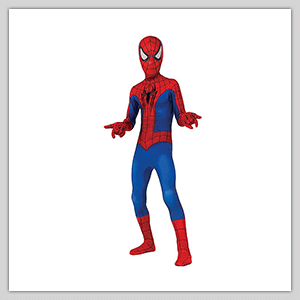 Spiderman Costume