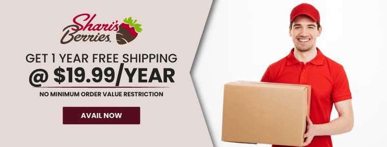 Get 1 Year Free Shipping @ $19.99/Year