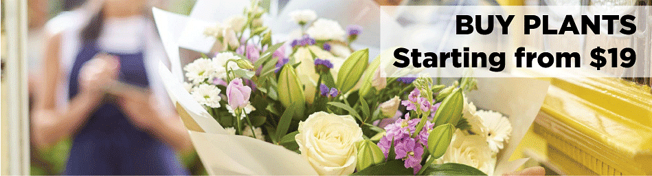 1800flowers-coupon-for-january-2022-up-to-50-off-on-flowers-gift