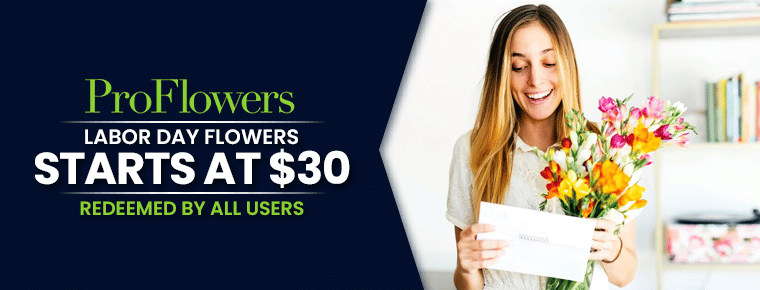 Labor Day Flowers : Starts At $30