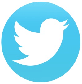 Twitter Logo