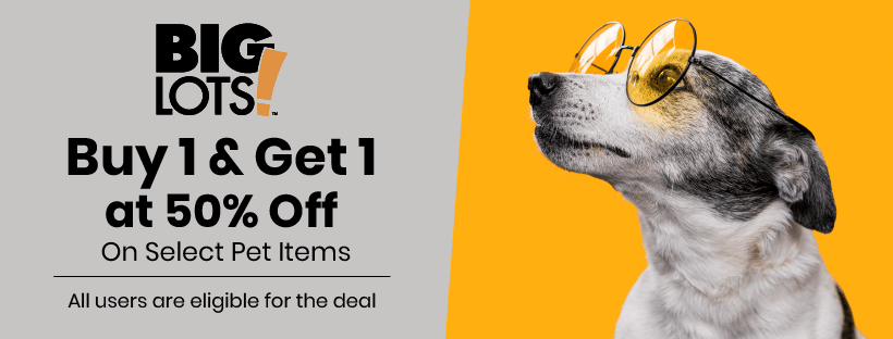 Big lots Buy 1 Get 1