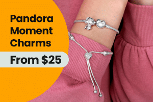 Pandora Moment Charms