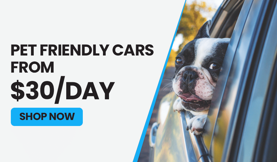 Turo Deal of the Day Promo Code and Coupons Aug 24th 2024