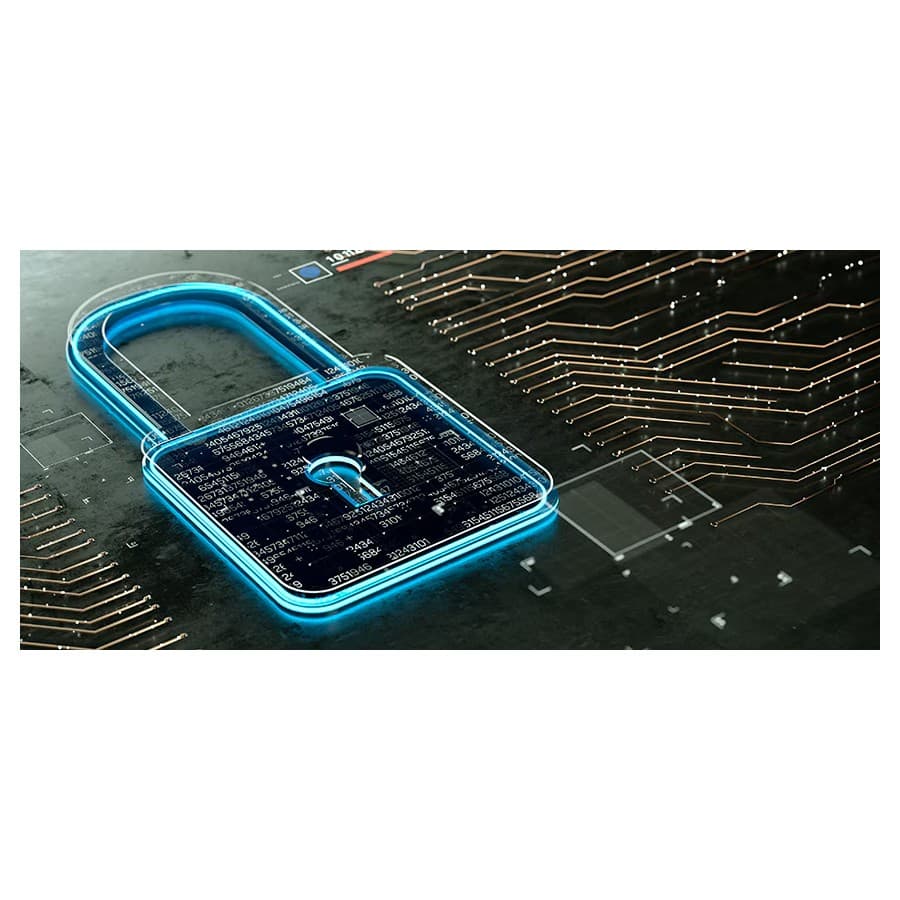 Data Security Lock Dell sale
